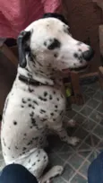 Duke