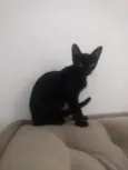 Nina