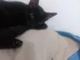 Nina