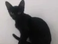 Nina