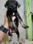 Não tem nome