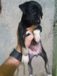 Não tem nome