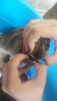 Não tem nome ainda.