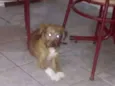 Não tem nome ainda 