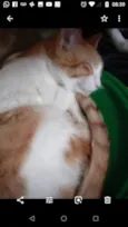Miguel