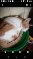 Miguel