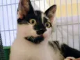 Jhonny