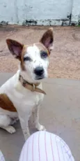 Mel