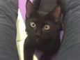 Lorenzo