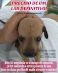 Belinha
