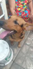 Bonita