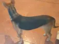 Bonita