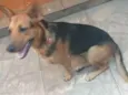 Bonita