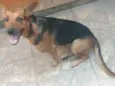 Bonita