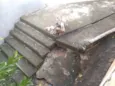 Vitoriosos 