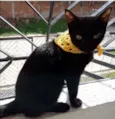 Sabrina