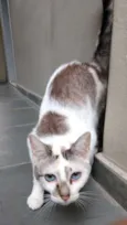 Nina