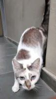 Nina