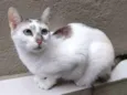 Nina