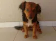 Belinha
