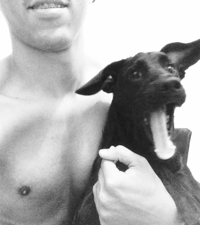 Cachorro ra a SRD idade 7 a 11 meses nome Dunga
