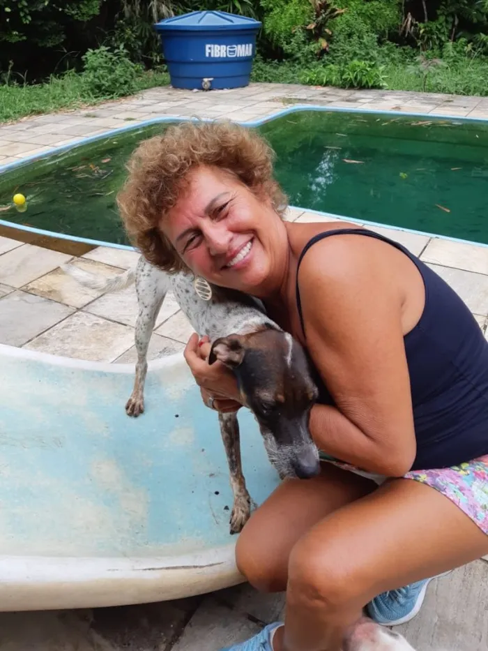 Cachorro ra a Mix de pointer idade 1 ano nome Max