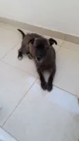 Bob 
