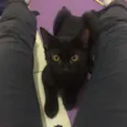 Lorenzo