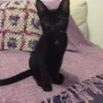 Lilith