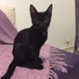 Lilith
