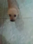 Bbs