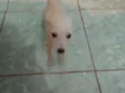 Bbs