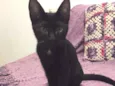 Lilith