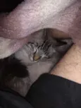 Bob