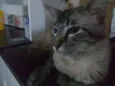 Bob