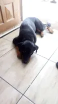 Bolt