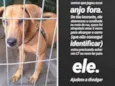 Sem nome