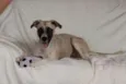 Vitória