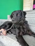 Bóris