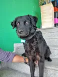 Bóris