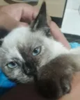 Molly