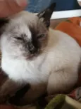 Molly