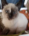 Molly