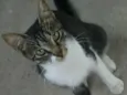 Rubi
