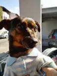 Betinho