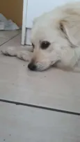 Mel