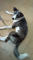 Princesa