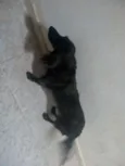 Não sei