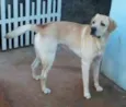 Marley