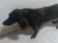 Não sei